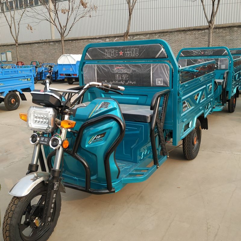 چین Electric Trike Motorcycle Triciclo Electrico خانواده بزرگسال مسافر سه چرخه 3 چرخ الکتریکی Rickshaw برقی سه چرخه